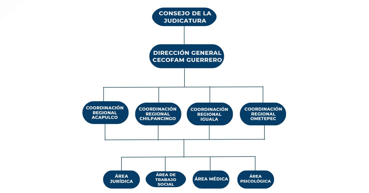 Estructura Interna