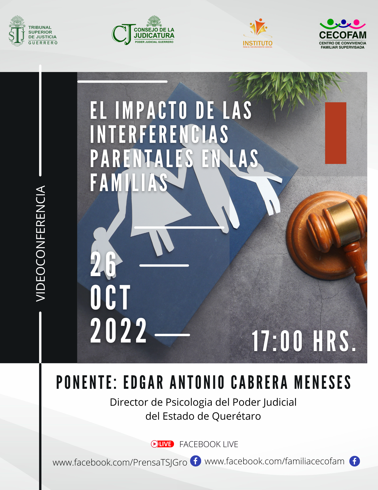 EL IMPACTO DE LAS INTERFERENCIAS PARENTALES EN LAS FAMILIAS